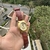 Relogio Fox Houd (Dourado)