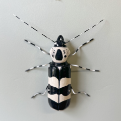 Rosalia Funebris - comprar online