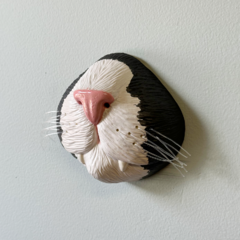 Focinho de gato - comprar online