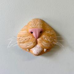 Focinho de gato na internet