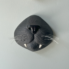 Focinho de gato na internet
