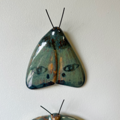Mariposas Olhos - etale