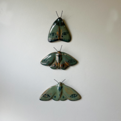 Mariposas Olhos - comprar online