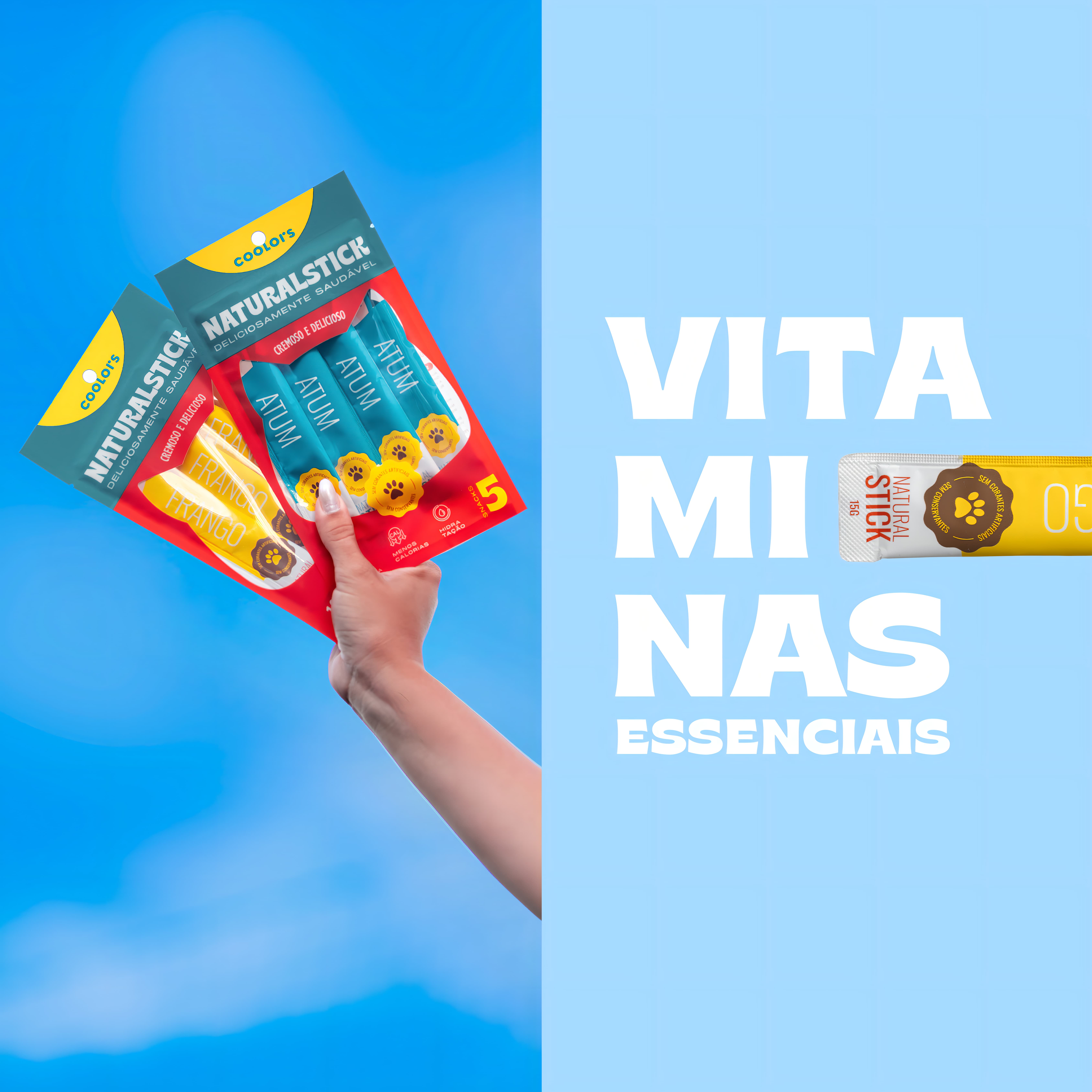Banner de Coolors - Descubra o Sabor Único do Natural Stick!