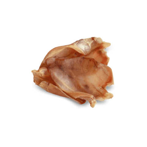 Orelha de porco, Orelha suina, Porco orelha, Orelha de porco desidratada, Orelha suina luv