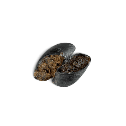 Casco Recheado Bovino - 2 und