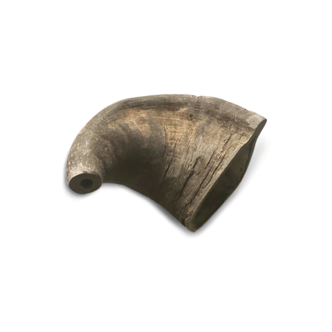 Chifres de bufalo, Chifre de bufalo, Bufalo chifre, Bufalo