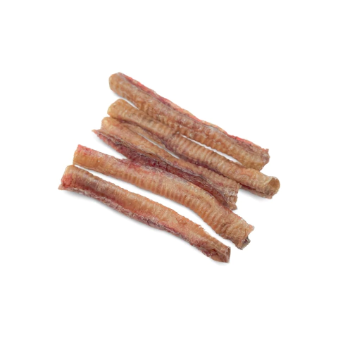 Traqueia ovina, traqueia de carneiro, traqueia ovina desidratada, traqueia de carneiro luv