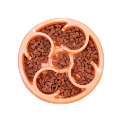 Comedouro Lento Círculos - Órien (Nivel Médio) - comprar online