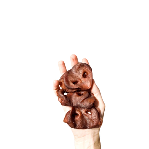 Focinho de porco, focinho suino, nariz de porco, porco focinho, Focinho de porco desidratado