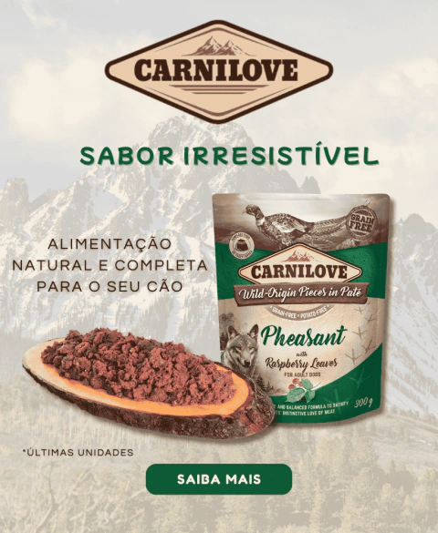Carrossel 1