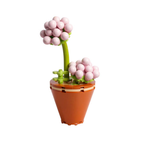 Imagen de Flores Para Armar Bloques Decoración Suculentas Y Cactus