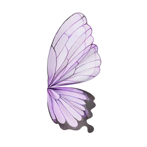 X20u Papel Bopp Coreano Traslucido Ala Mariposa P/ Flor 3068 - tienda online