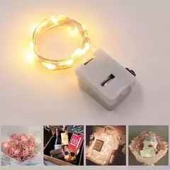 Guirnalda Luz Led Alambre De Cobre 2m X10ud en internet