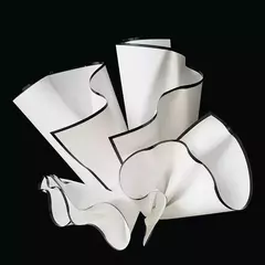 Papel Bopp/coreano Traslucido Con Borde Para Flores X20u 3127