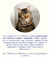 Banner de Can Can Catnip