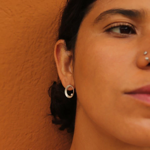 Brinco Transponha Mini