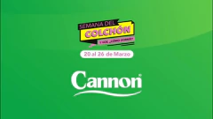 Colchon Cannon Clasico 18kg 1 Plaza 80x190x13 - colchoneria ballester