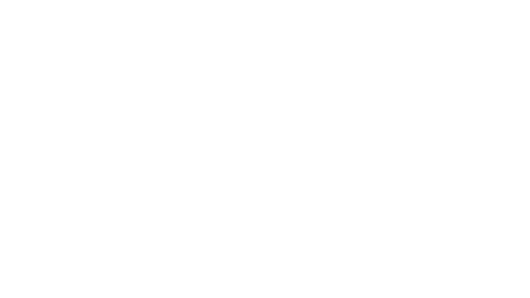 Jutsu Dragon