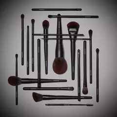SET DE BROCHAS CON ESTUCHE X20- MORPHE en internet