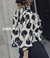 Banner de Eva Miller