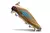chuteira-campo-adidas-f50-elite-laceless-sg-trava-mista