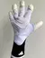luva-de-goleiro-adidas-predator-hybrid