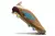 chuteira-campo-adidas-f50-elite-laceless-fg