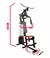 GIMNASIO MULTIFUNCION EXPERT 45 Kg EN PESAS en internet