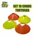 CONO TORTUGA SET X 10