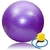 PELOTA ESFERODINAMIA EXPERT 65CM en internet