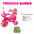 Triciclo Barbie Biemme A Pedal Nena Andarín - comprar online