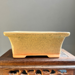 MACETA ESMALTADA RECTANGULAR PARA BONSAI 17 x 13 x 6 cm (Art. GS2) - comprar online