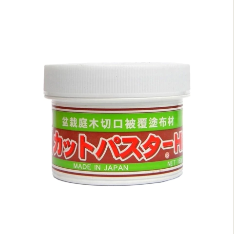 PASTA CICATRIZANTE CADUCIFOLIOS 190G - comprar online