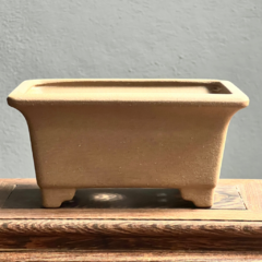 KANNAGARA. RECTANGULAR CHICA 13 X 9 X 6 (Cod. 1102) - Bonsai Sandro