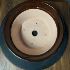 MACETA DE CULTIVO PARA BONSAI N8 en internet