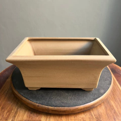 KANNAGARA. RECTANGULAR MEDIANA 24x17x12cm (Cod. 1103) - Bonsai Sandro