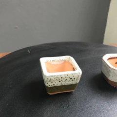 MACETA ESMALTADA PARA BONSAI MAME (4,5 cm. x 4,5 cm. x 2 cm.) - comprar online