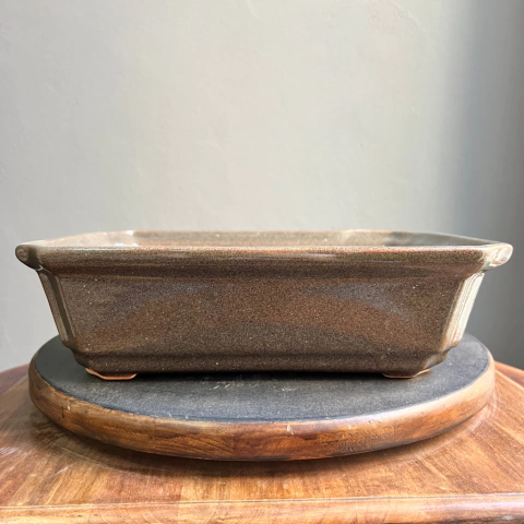 MACETA ESMALTADA RECTANGULAR PARA BONSAI 29x21,5x7 cm (Art. RR29B)