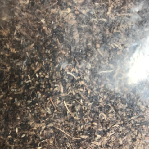 TURBA RUBIA - comprar online