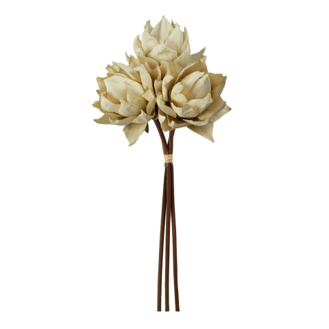 Ramalhete de Protea Creme 35cm - comprar online