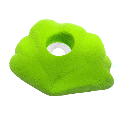 CONCHINHA - comprar online