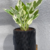MACETA 3D COLGANTE - comprar online