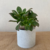 Imagen de MACETA MINI 3D