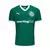 Camisa Verdão Home 2025/26 Torcedor Masculina - Verde - comprar online