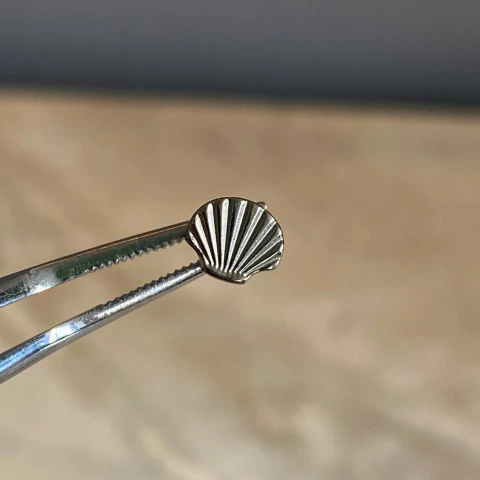 Labret Concha Titanio