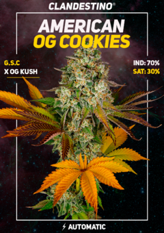 american og cookies x3 + 1 DE REGALO!