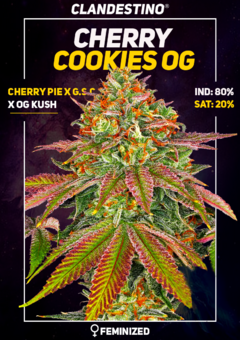 cherry cookies og x3 + 1 DE REGALO!