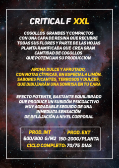 critical frankie xxl x10 + 2 DE REGALO! - comprar online