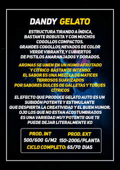big cookies x10 + 2 DE REGALO! - tienda online